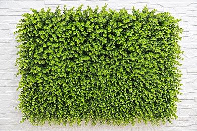 国际奥委会宣布首届奥林匹克电子竞技周 2023年在新加坡举办